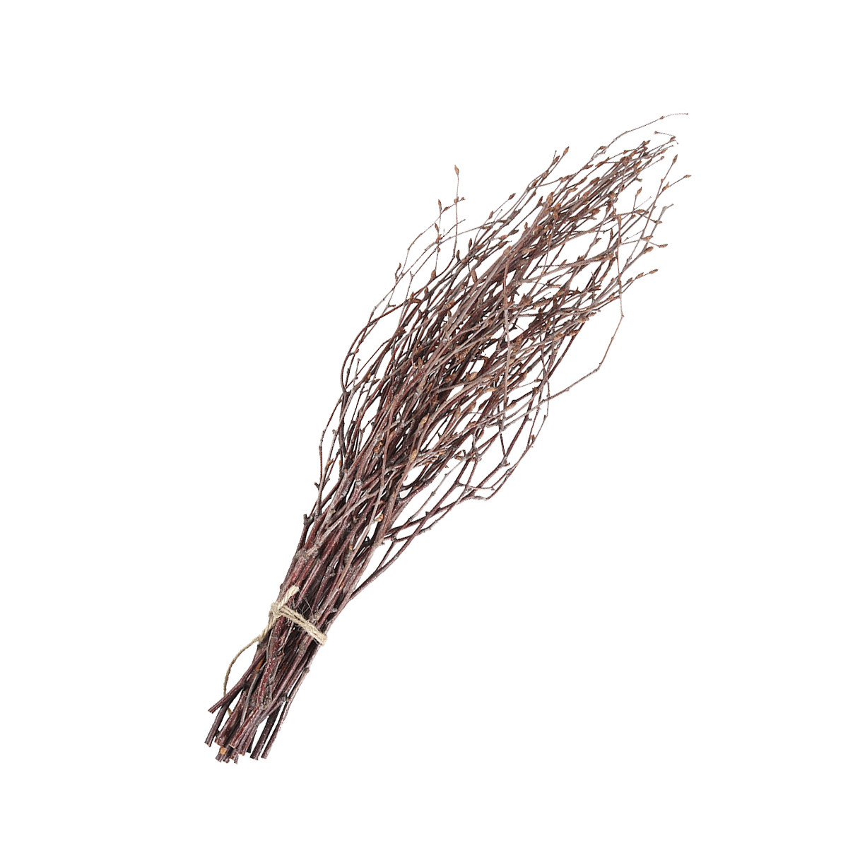 Craft Embellishment - 10Pcs 40Cm Birch Branches Realistic Dry