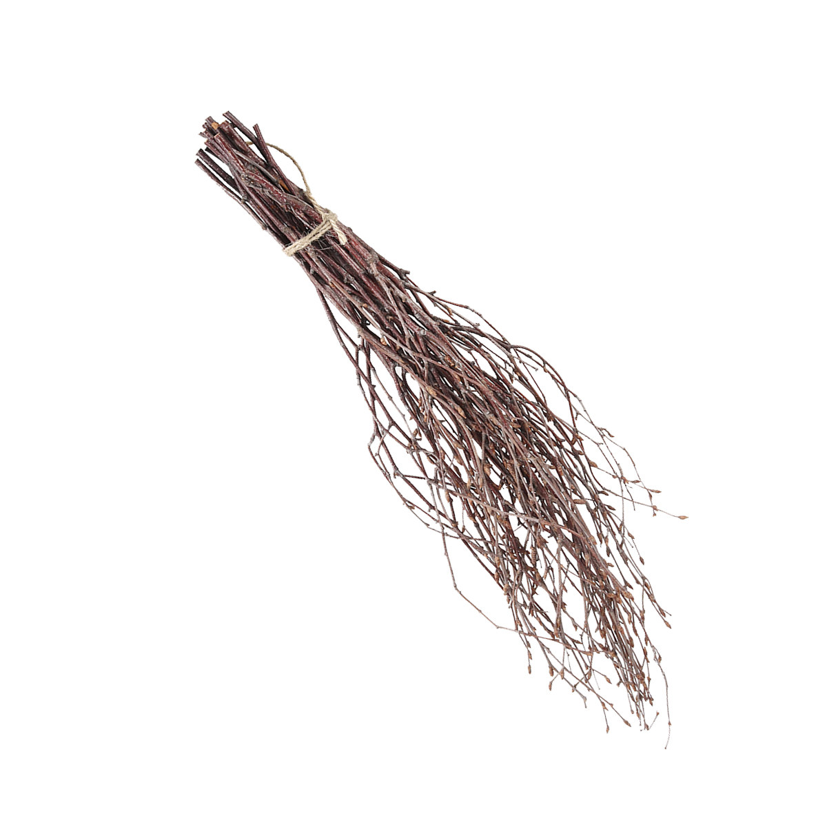 10Pcs 40Cm Birch Branches Real – Craft Embellishment Bewertung und Preis